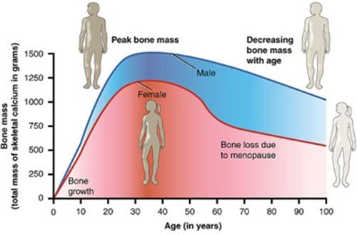 Signs of Growth Hormone Deficiency