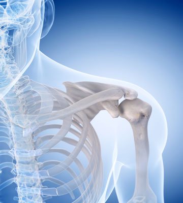 Stronger bone mineral density Stronger bone mineral density