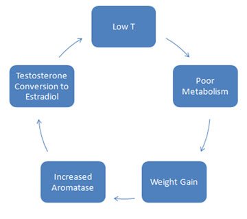 Why Testosterone Deficiency Makes You Tired